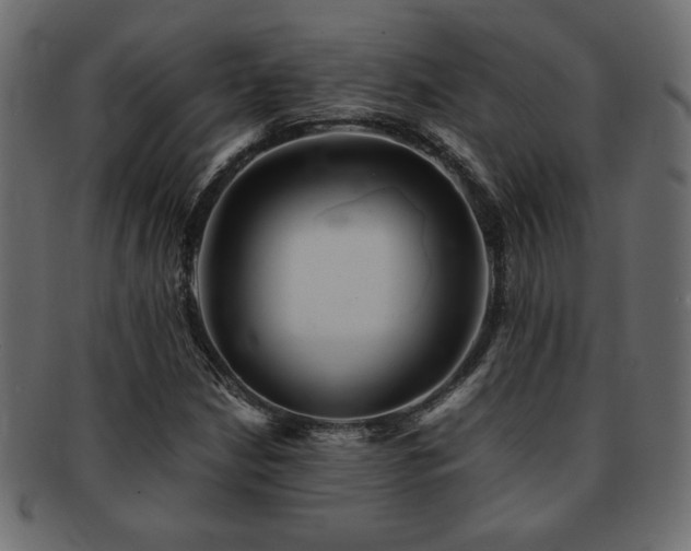 X0000093121210200709261321