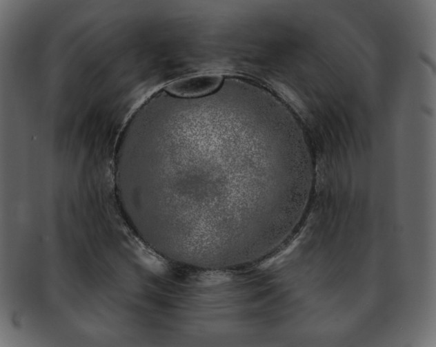 X0000093121212200709261321