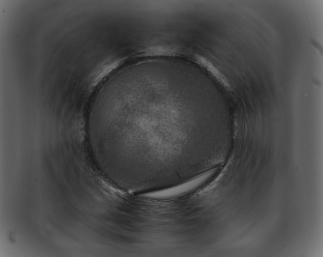 X0000093121213200709261321