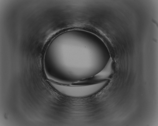 X0000093121214200709261321