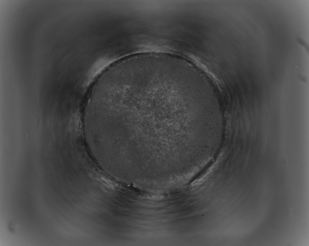 X0000093121215200709261321