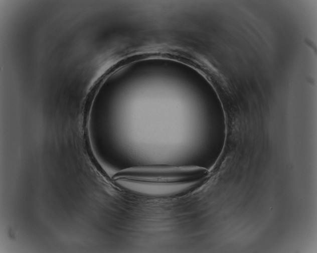 X0000093121216200709261321