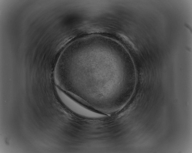 X0000093121217200709261321