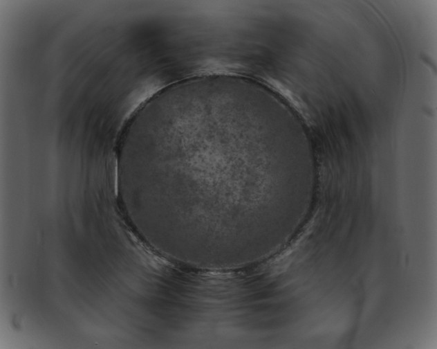 X0000093121219200709261321