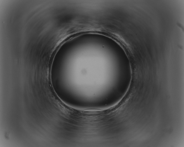X0000093121220200709261321