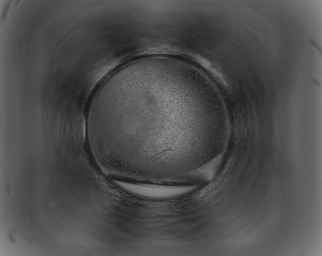 X0000093121221200709261321