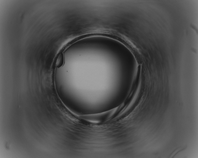 X0000093121222200709261321
