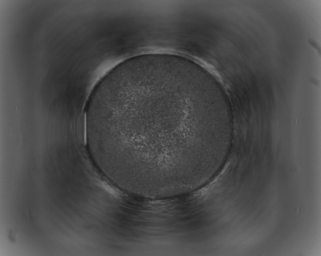 X0000093121223200709261321