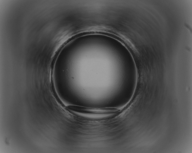 X0000093121224200709261321
