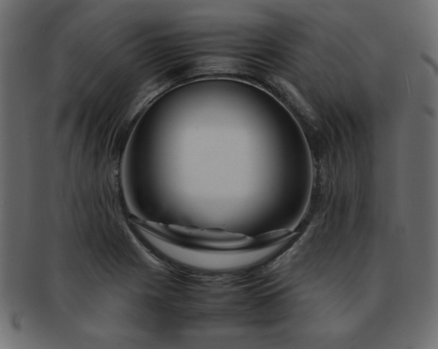 X0000093121225200709261321