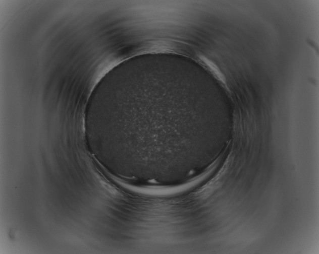 X0000093121226200709261321