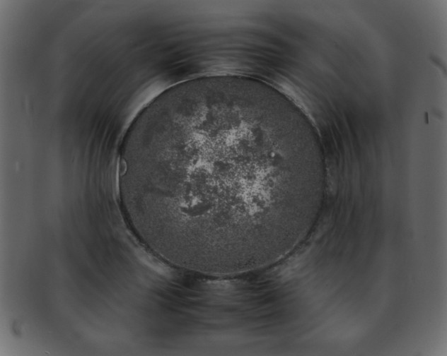 X0000093121227200709261321