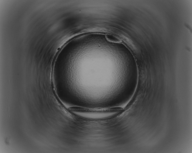 X0000093121228200709261321