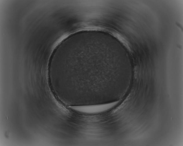 X0000093121229200709261321