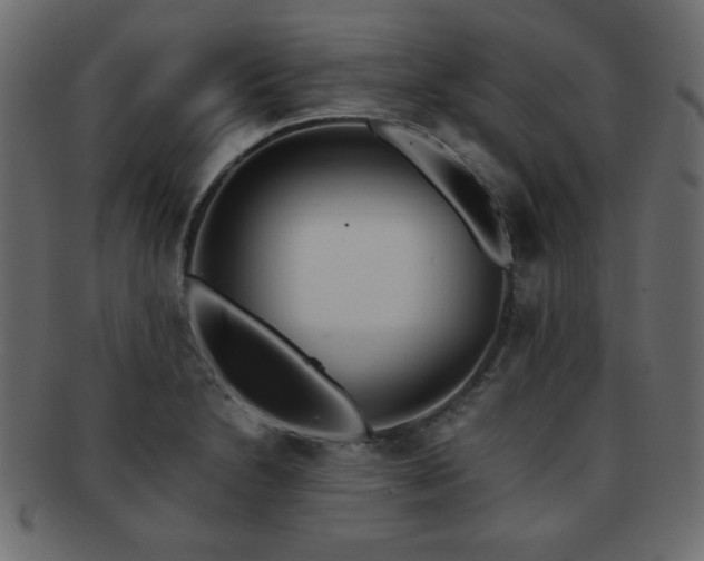 X0000093121230200709261321