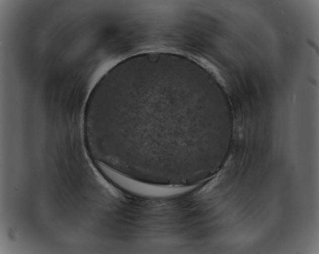X0000093121231200709261321