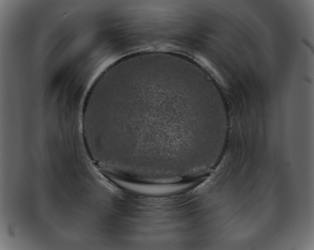 X0000093121232200709261321