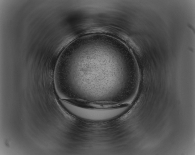 X0000093121233200709261321