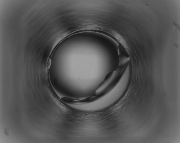 X0000093121234200709261321