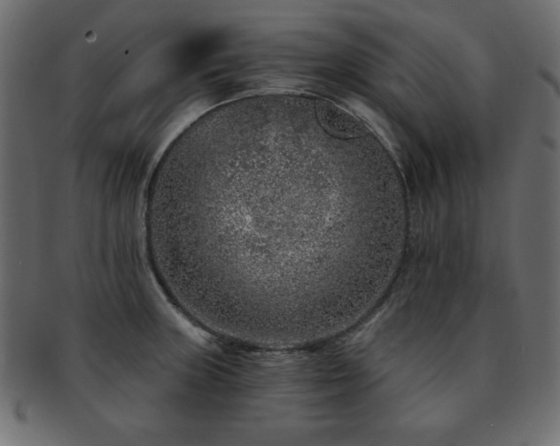X0000093121235200709261321