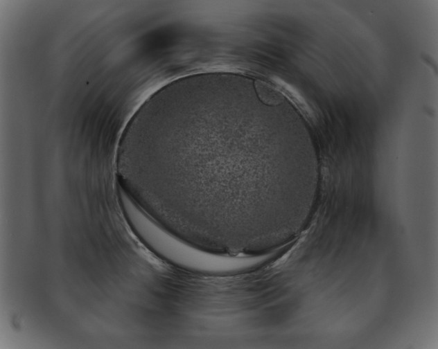 X0000093121236200709261321