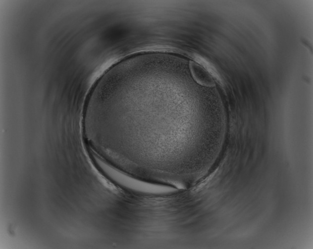 X0000093121237200709261321