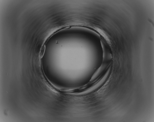 X0000093121238200709261321