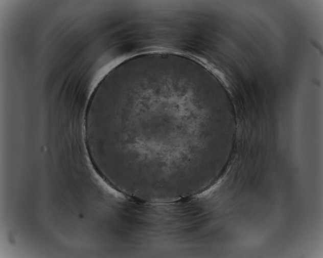 X0000093121239200709261321