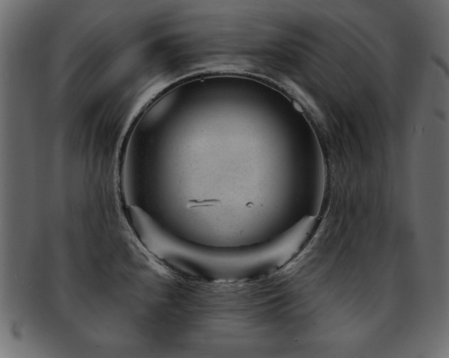 X0000093121240200709261321