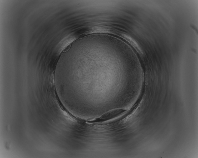X0000093121241200709261321