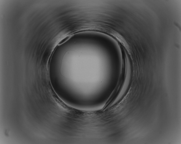X0000093121242200709261321