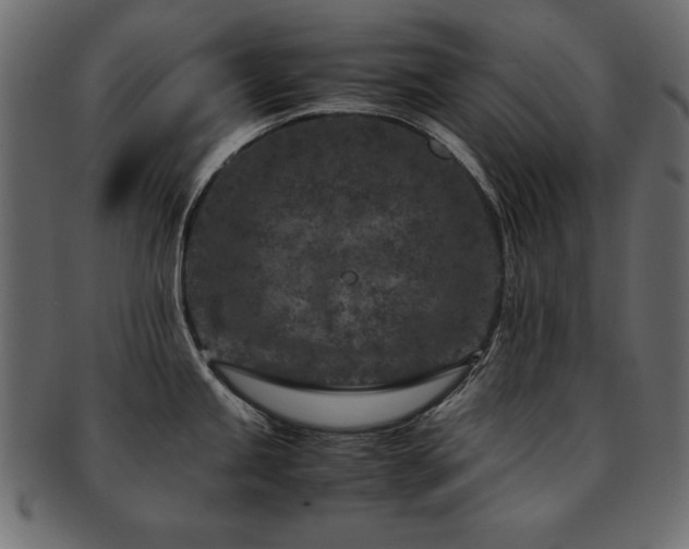 X0000093121245200709261321