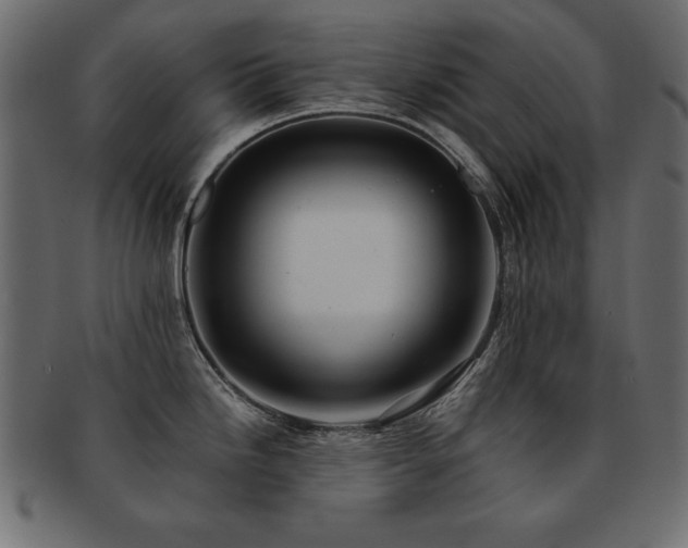 X0000093121246200709261321