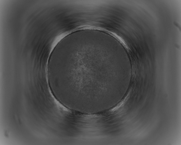 X0000093121247200709261321