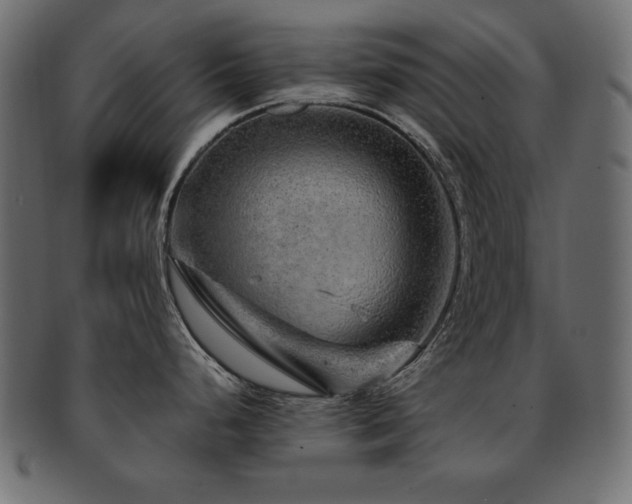 X0000093121248200709261321