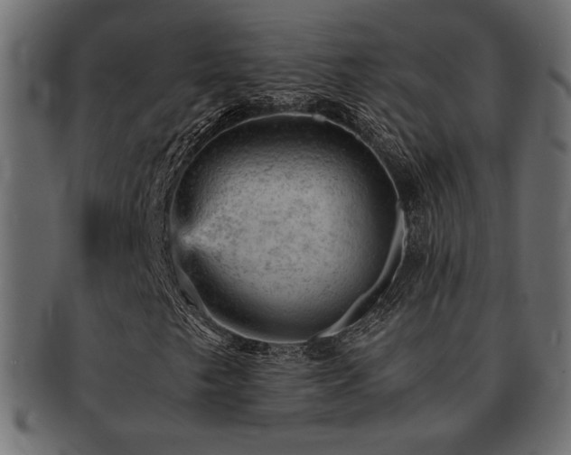 X0000093121249200709261321