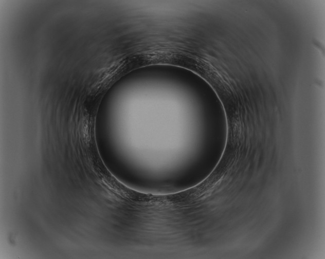 X0000093121250200709261321