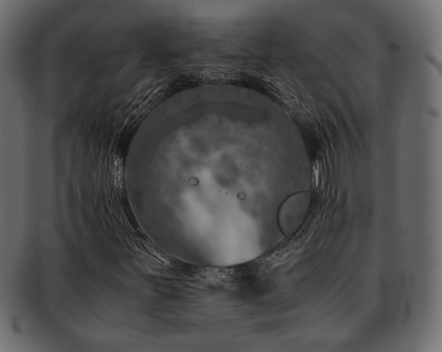 X0000093121251200709261321