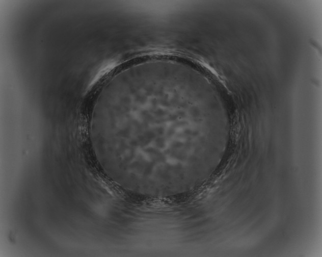 X0000093121255200709261321