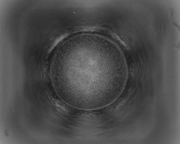 X0000093121256200709261321