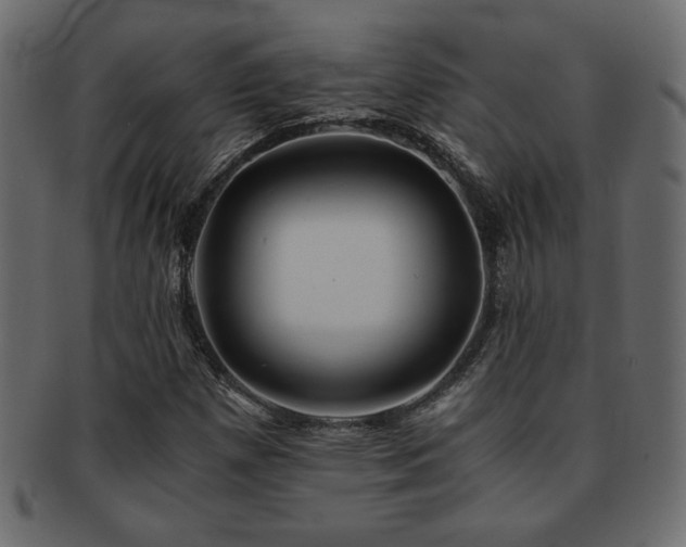 X0000093121257200709261321