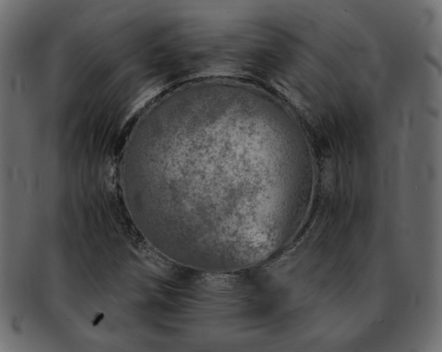 X0000093121258200709261321