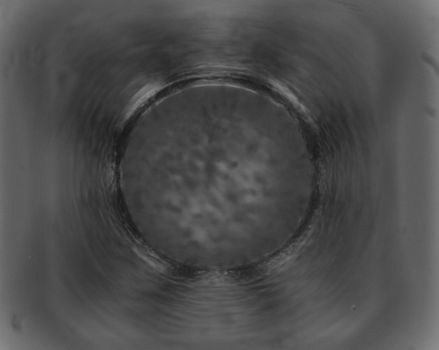 X0000093121259200709261321