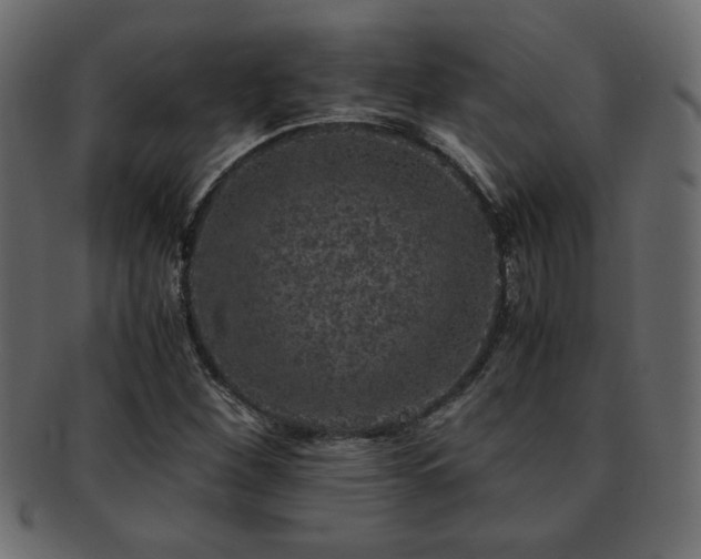 X0000093121260200709261321