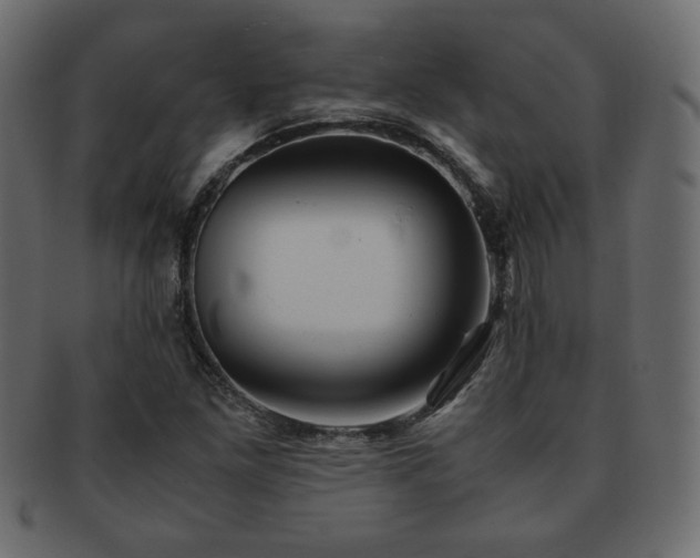 X0000093121261200709261321