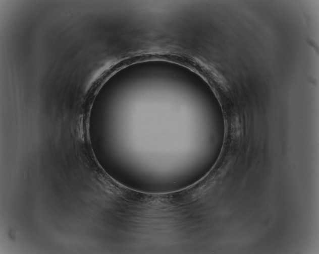 X0000093121262200709261321