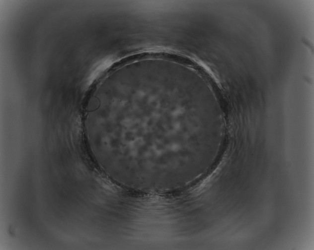 X0000093121263200709261321