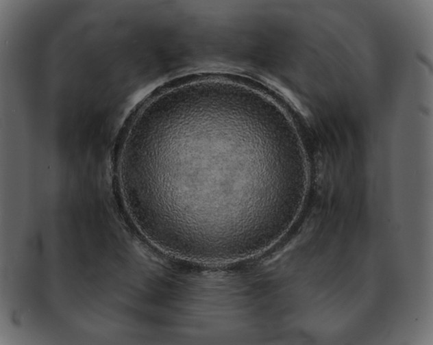 X0000093121264200709261321
