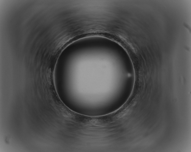X0000093121265200709261321