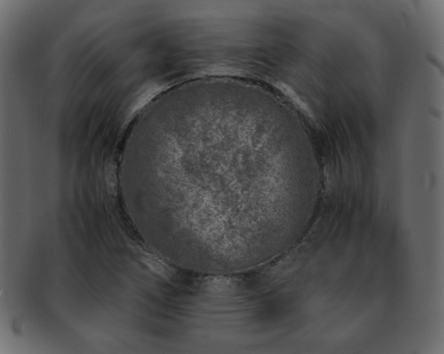 X0000093121266200709261321
